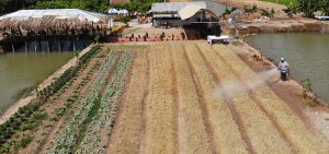 Sản xuất rau màu an toàn theo hướng bền vững mang đến hiệu quả kinh tế tăng lên nhiều so với cách làm truyền thống.