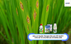 thuoc-tri-dao-on-lua