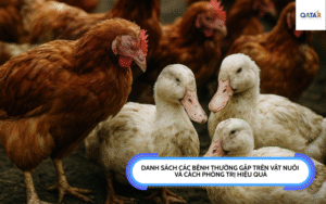 Danh sách các bệnh thường gặp trên vật nuôi