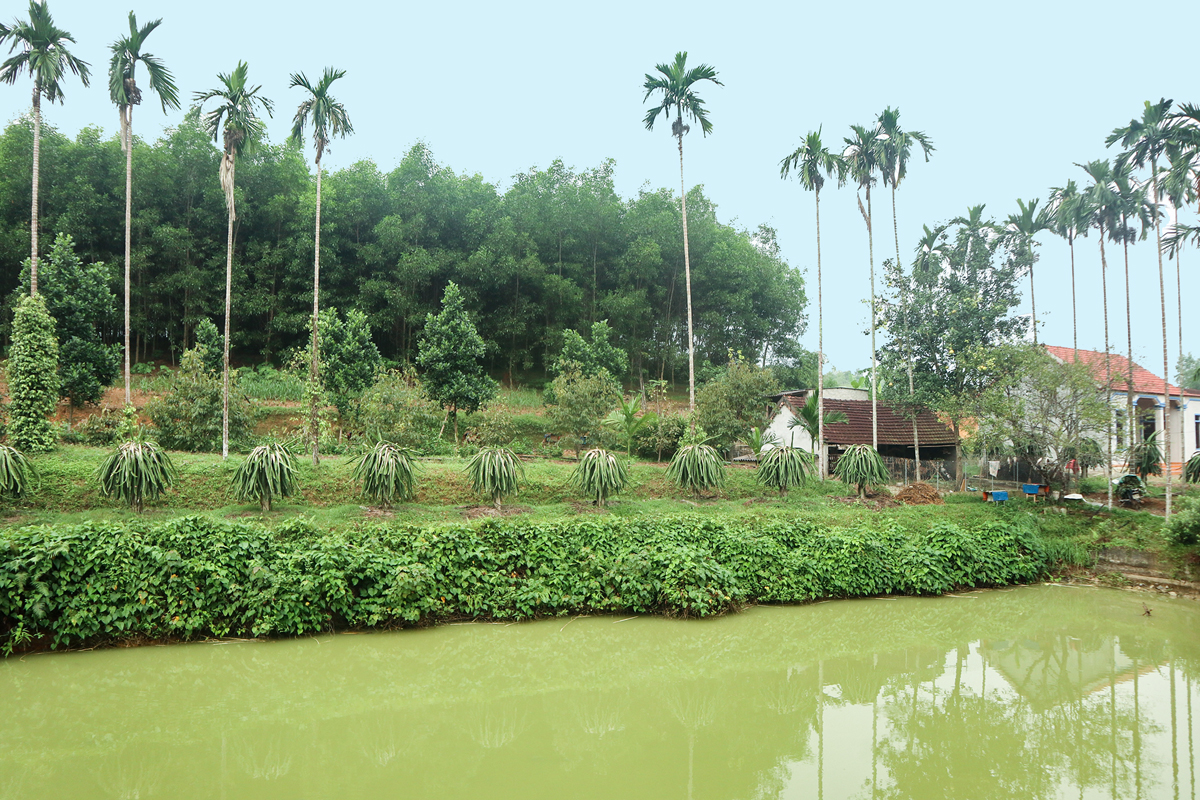 Ví dụ về mô hình VAC (vườn – ao – chuồng)