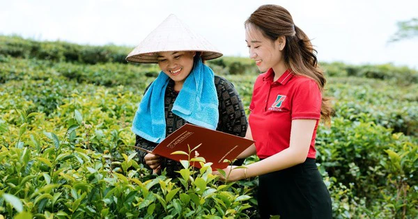 chính sách hỗ trợ vay vốn cho nông dân