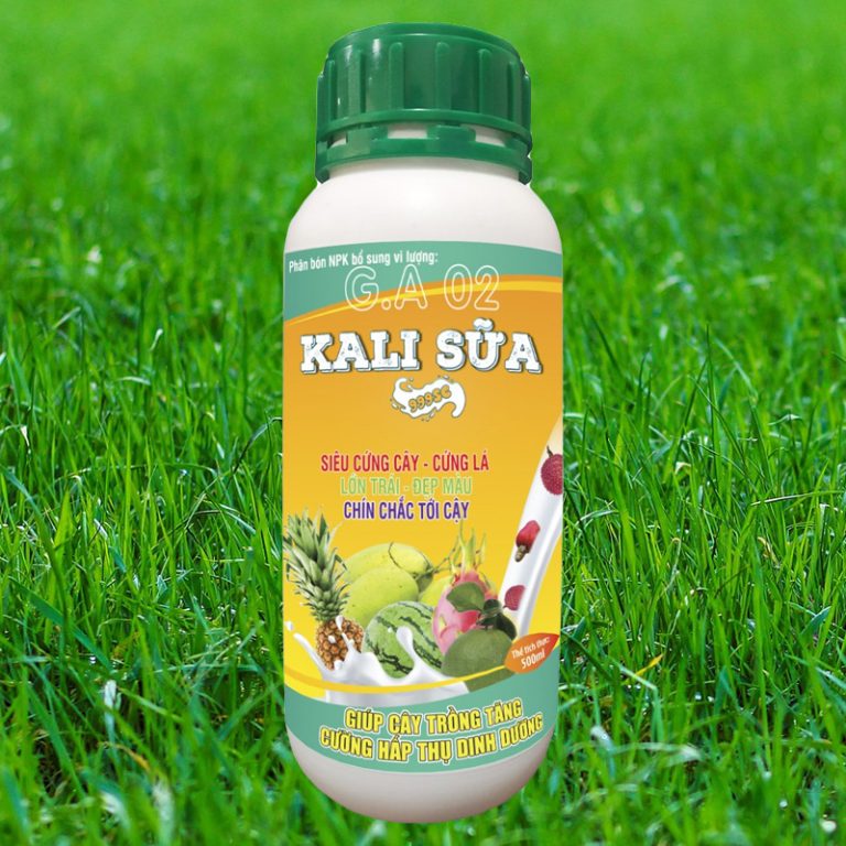 Sầu riêng bị đỏ gai