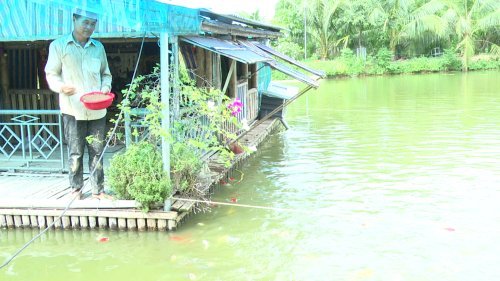 Ứng dụng phụ phẩm nông nghiệp trong mô hình tuần hoàn