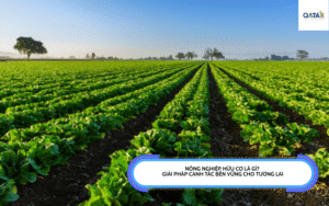 Nông nghiệp hữu cơ là gì