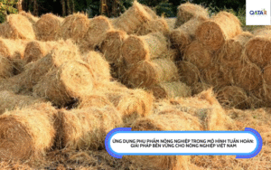 Ứng dụng phụ phẩm nông nghiệp trong mô hình tuần hoàn