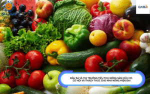 Đầu ra và thị trường tiêu thụ nông sản hữu cơ