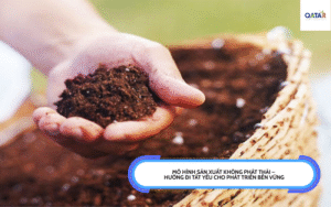 Mô hình sản xuất không phát thải