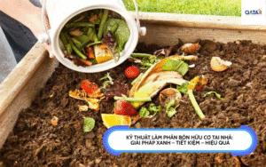 Kỹ Thuật Làm Phân Bón Hữu Cơ Tại Nhà
