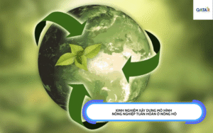 kinh nghiệm xây dựng mô hình nông nghiệp tuần hoàn