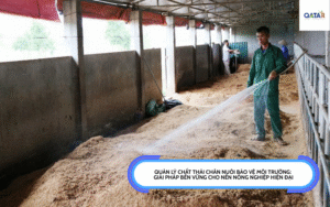 quản lý chất thải chăn nuôi