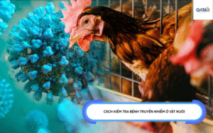 bệnh truyền nhiễm ở vật nuôi