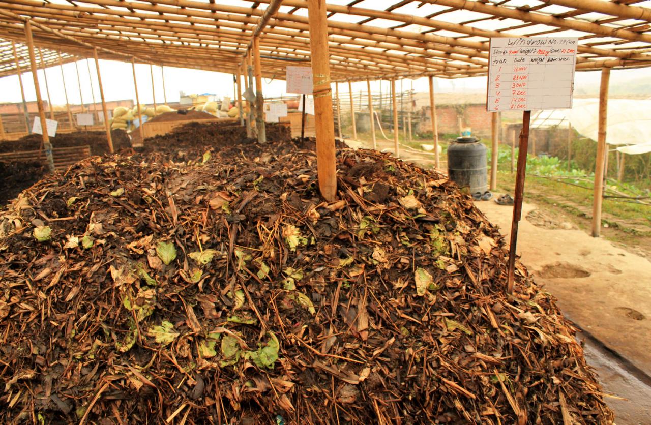 Kỹ Thuật Làm Phân Bón Hữu Cơ Tại Nhà