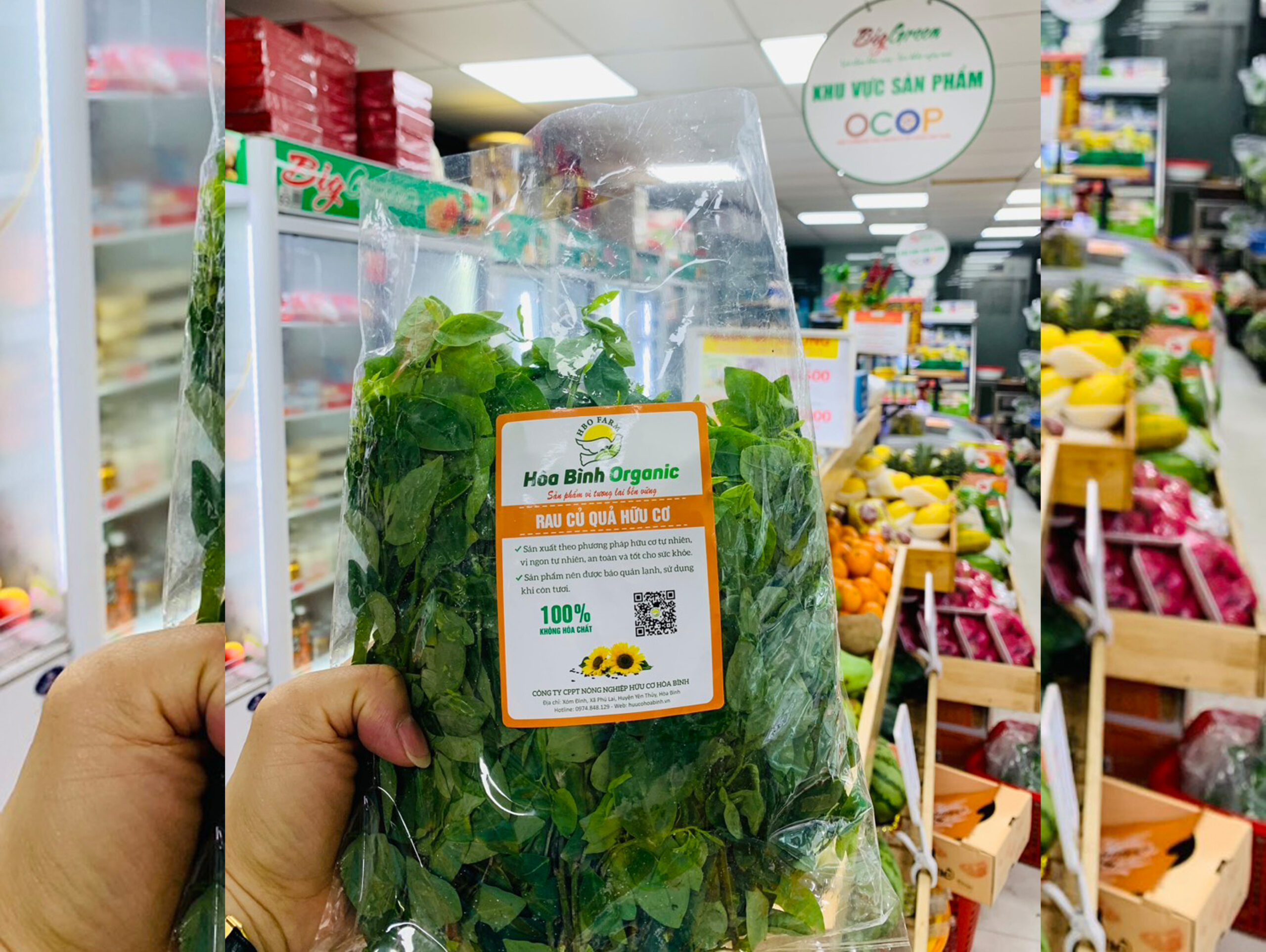 Đầu ra và thị trường tiêu thụ nông sản hữu cơ