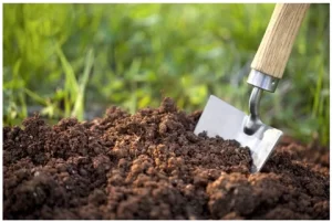 Làm đất trồng rau sạch