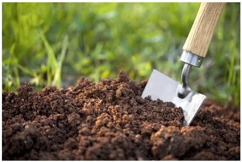 Làm đất trồng rau sạch