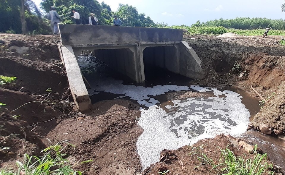 quản lý chất thải chăn nuôi