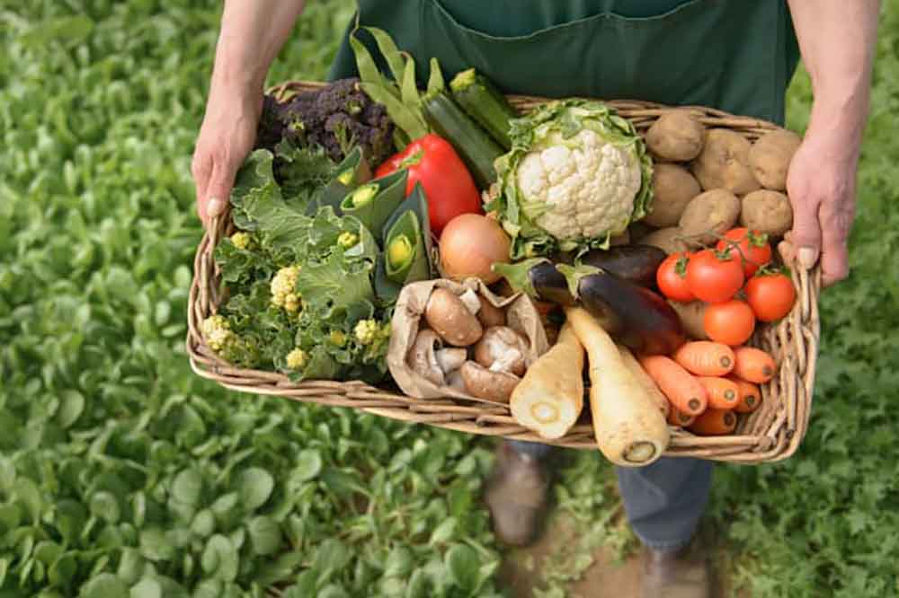 Nông nghiệp hữu cơ là gì