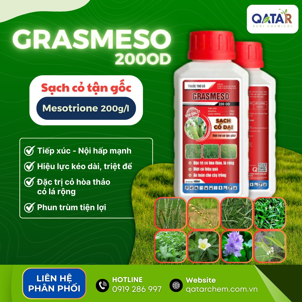 Cơ Hội Kinh Doanh Thuốc Trừ Cỏ