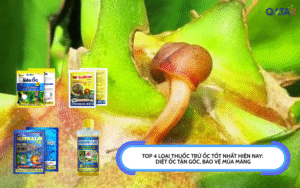 TOP 4 loại thuốc trừ ốc