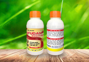 bọ xít hôi hại lúa