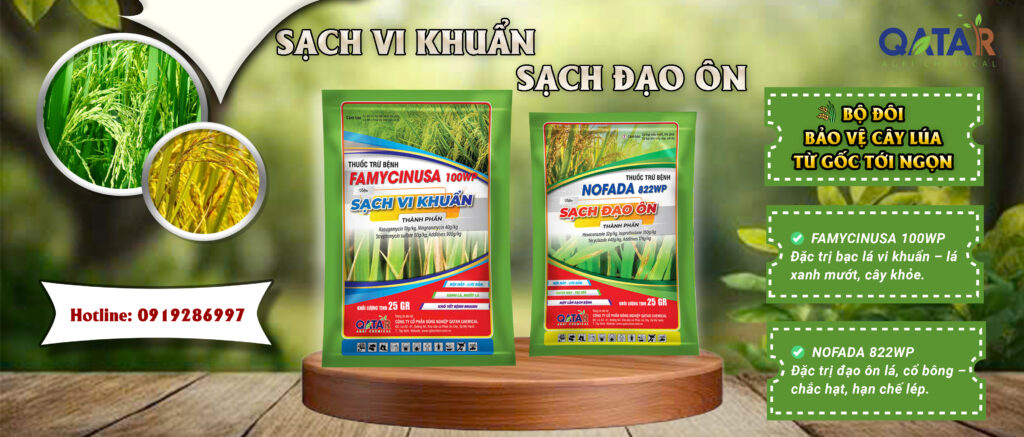 BỘ ĐÔI BẢO VỆ CÂY LÚA TỪ GỐC ĐẾN BÔNG