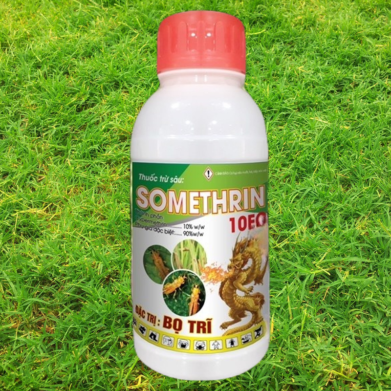 Kỹ thuật trừ bọ trĩ trên lúa