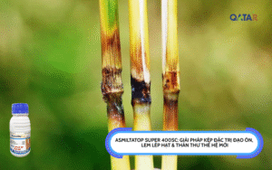 ASMILTATOP SUPER 400SC