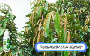 Phân bón BONSAI’S 20SPC