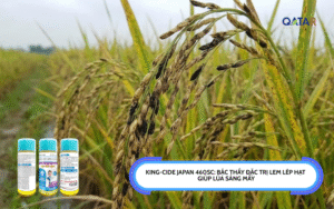 KING-CIDE JAPAN 460SC