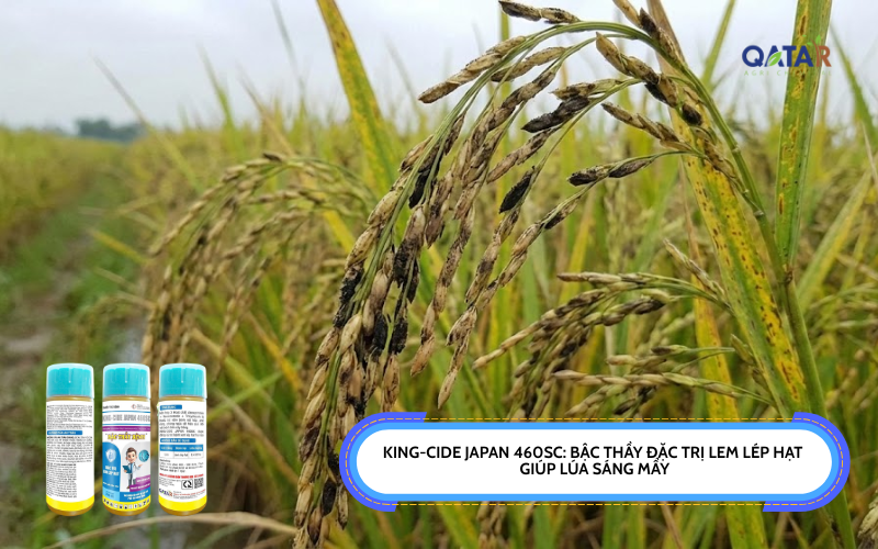 KING-CIDE JAPAN 460SC