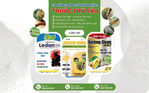 đóng nhãn riêng thuốc trừ sâu