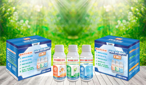 Bộ Vua Trị Bệnh 3 IN 1